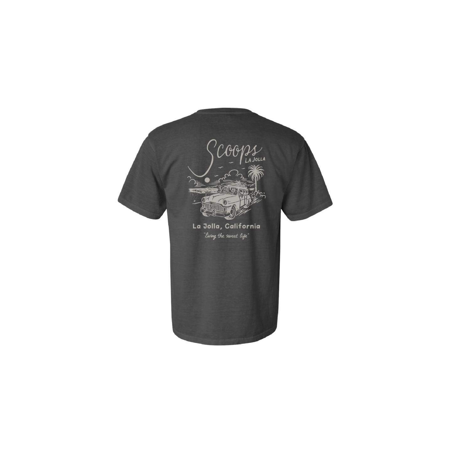 Scoops La Jolla T-Shirt - Washed Black